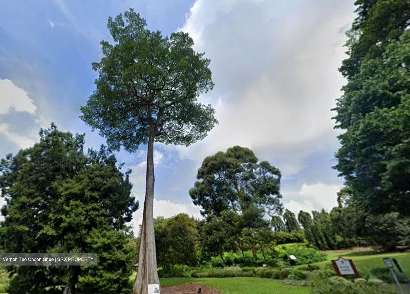Capitol Park (D11), Detached #619481911